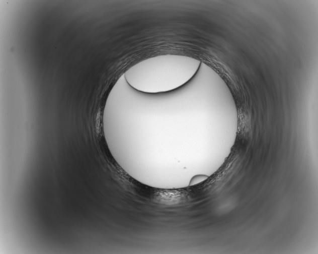 X0000099230189200804241237