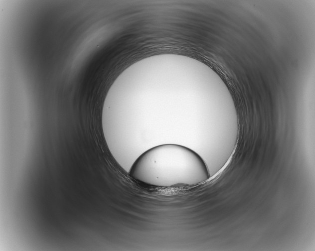 X0000099230190200804241237
