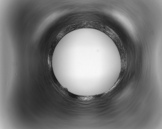 X0000099230191200804241237