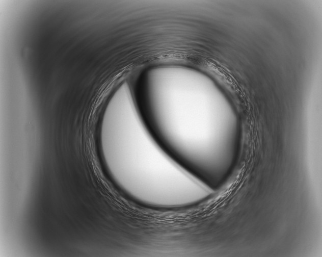 X0000099230193200804241236