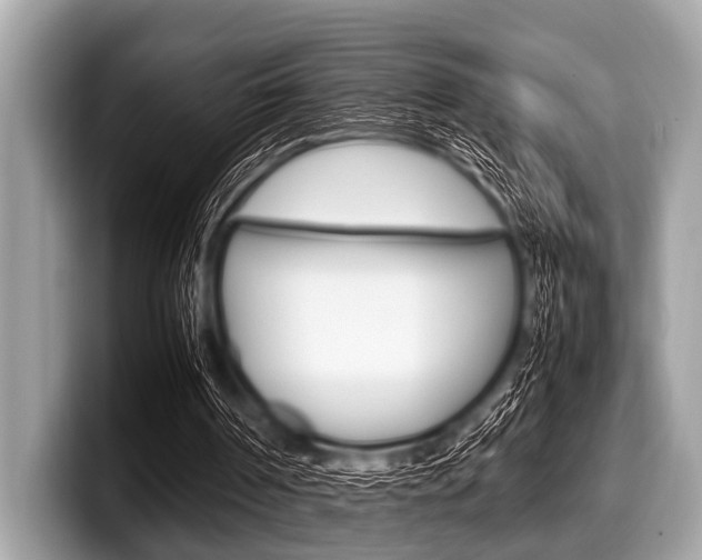 X0000099230194200804241236