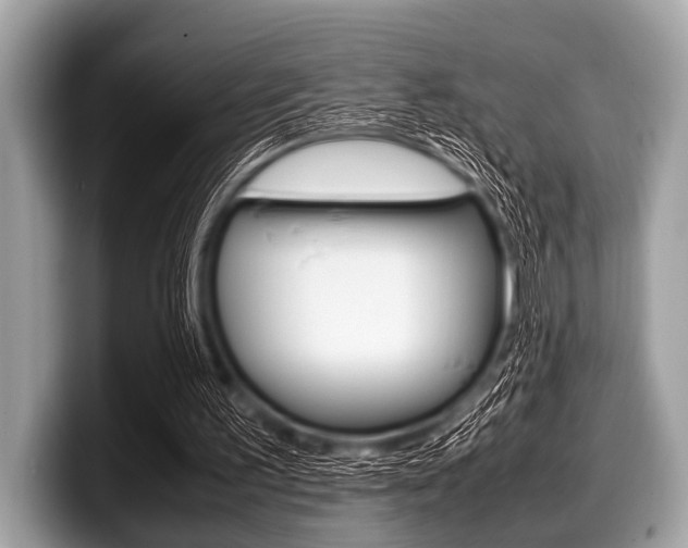 X0000099230195200804241236