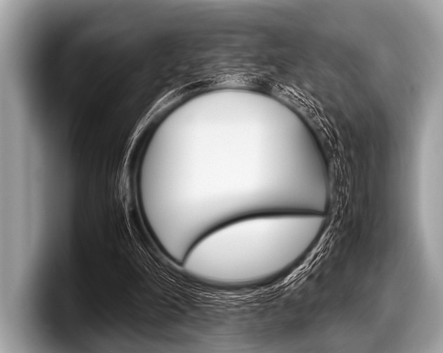 X0000099230198200804241236