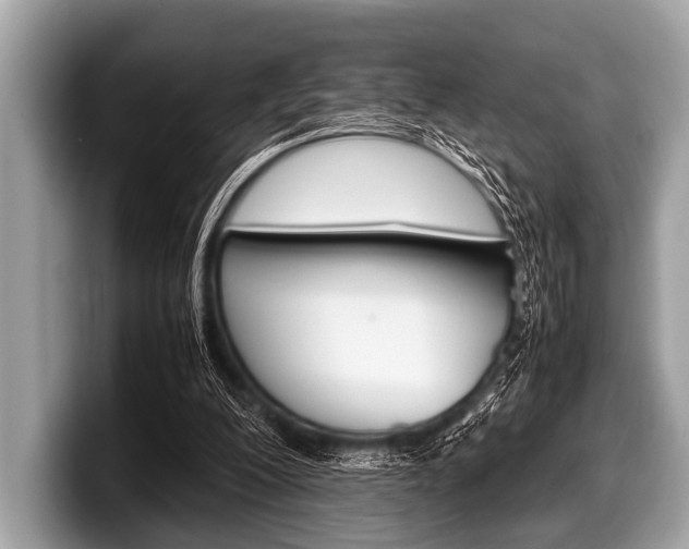 X0000099230200200804241236