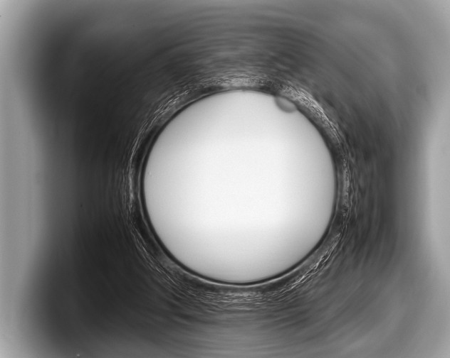 X0000099230202200804241236