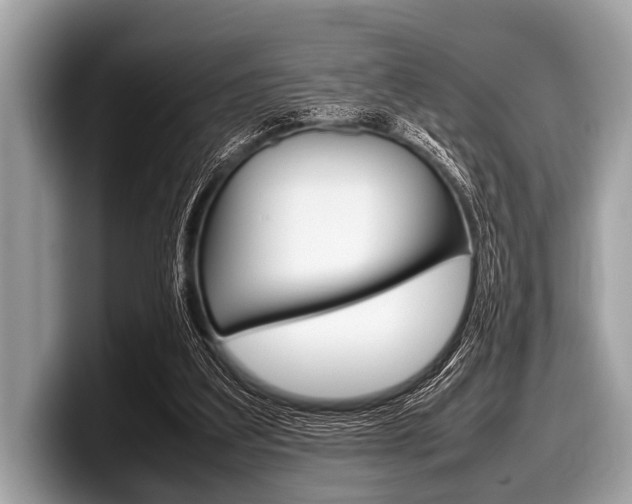 X0000099230203200804241236