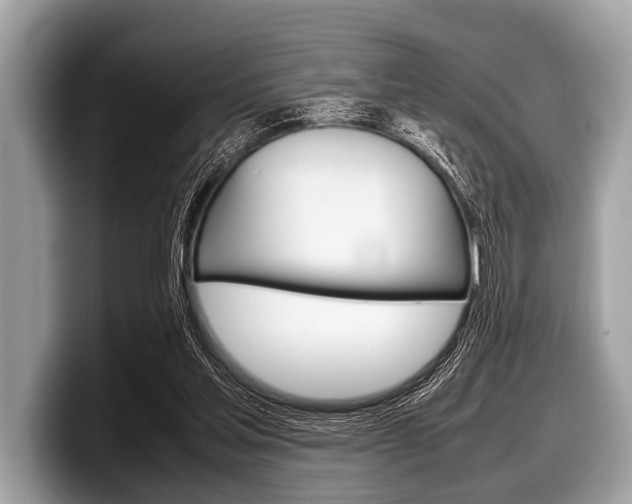 X0000099230205200804241236