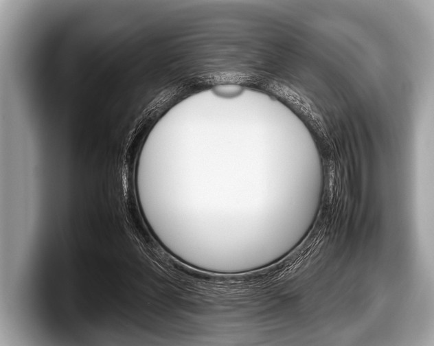X0000099230206200804241236
