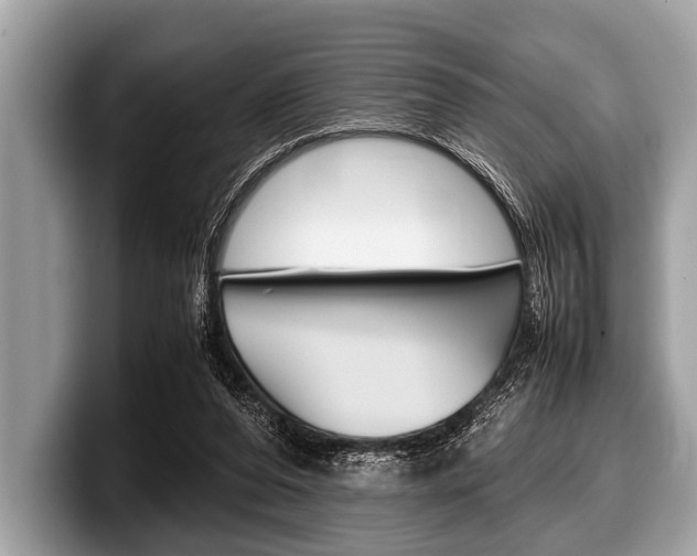 X0000099230208200804241236