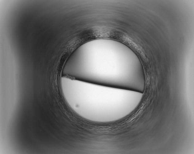 X0000099230209200804241236