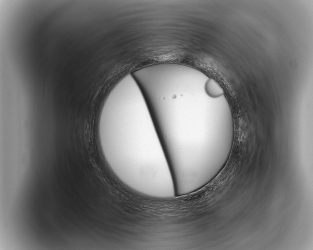X0000099230210200804241236
