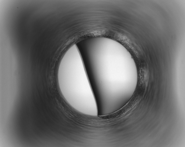 X0000099230212200804241236