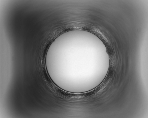 X0000099230213200804241236