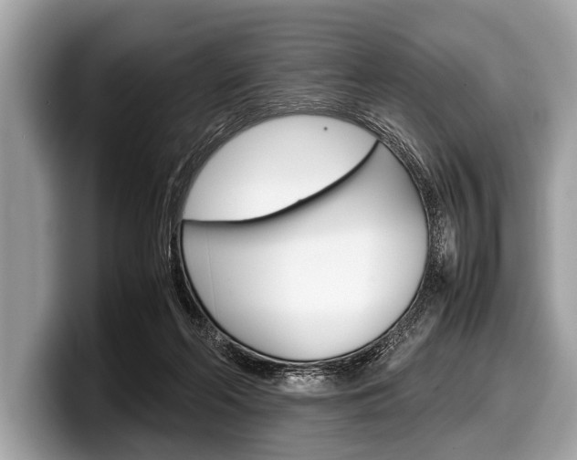 X0000099230214200804241236