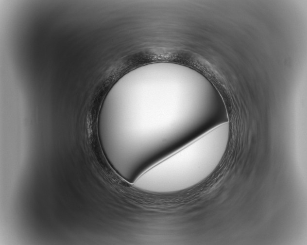 X0000099230215200804241236