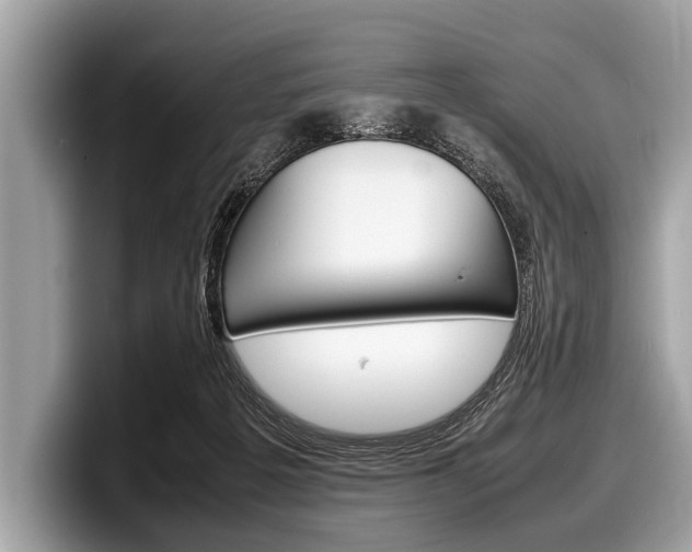 X0000099230217200804241236