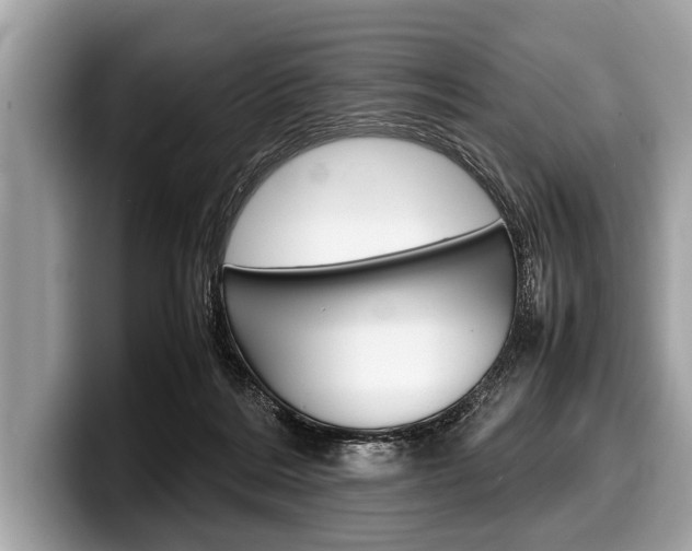X0000099230220200804241236