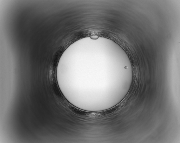 X0000099230222200804241236