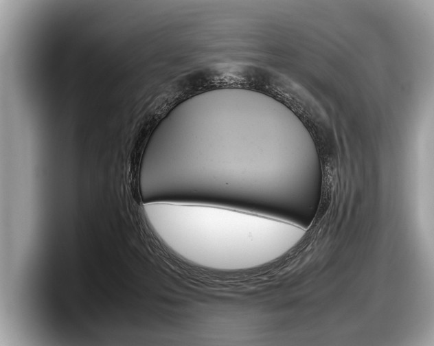 X0000099230223200804241236