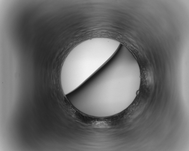 X0000099230224200804241236
