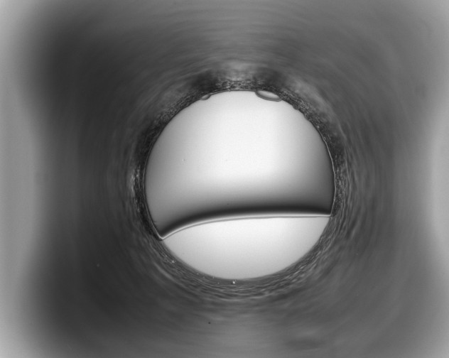 X0000099230225200804241236