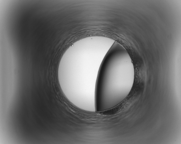 X0000099230227200804241236