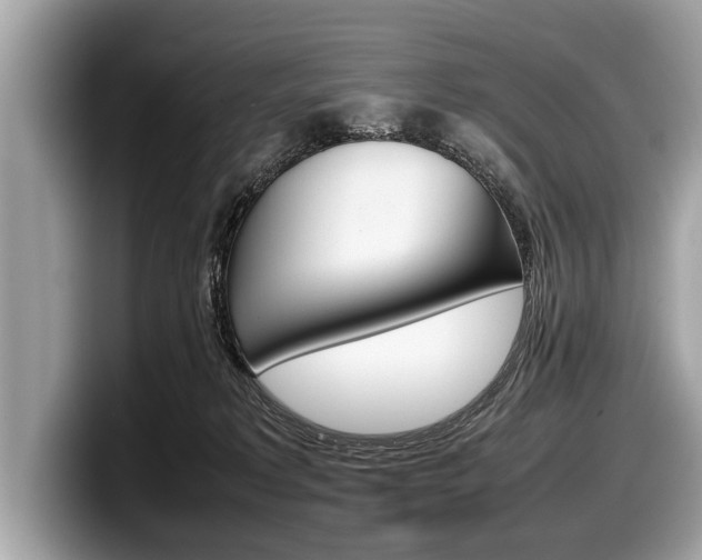 X0000099230229200804241236