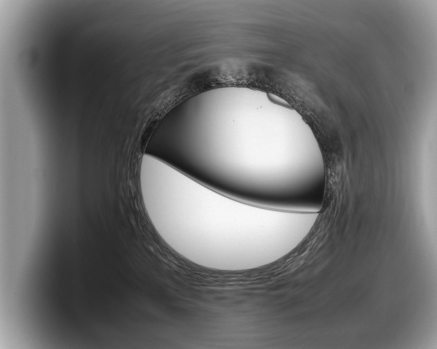 X0000099230233200804241236