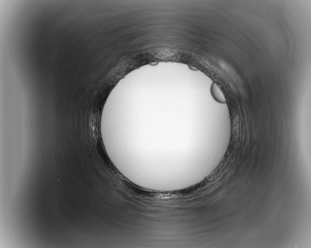 X0000099230234200804241236