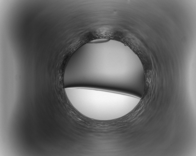 X0000099230235200804241236