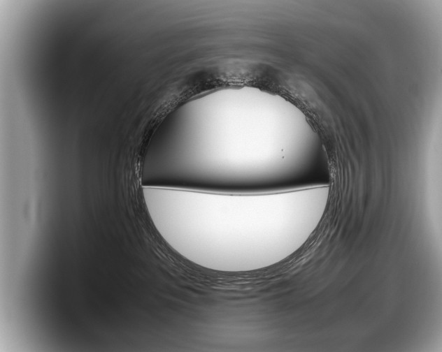 X0000099230237200804241235