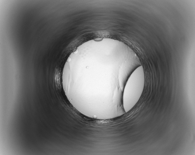 X0000099230238200804241235