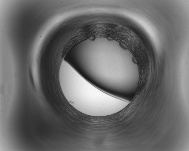 X0000099230239200804241235