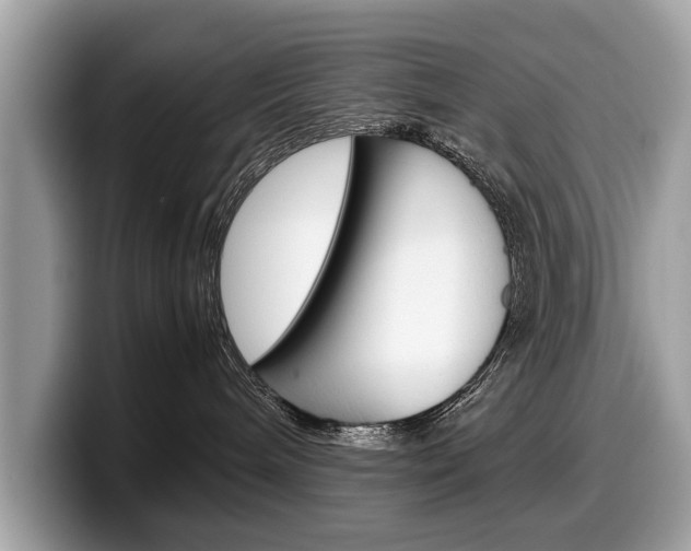 X0000099230240200804241235