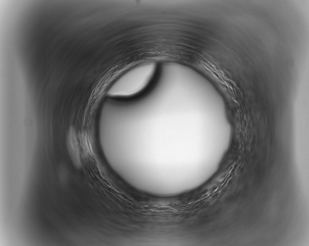 X0000099230241200804241235