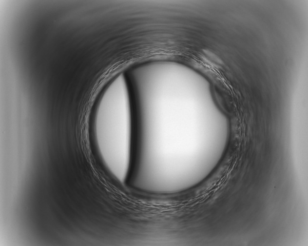 X0000099230242200804241235