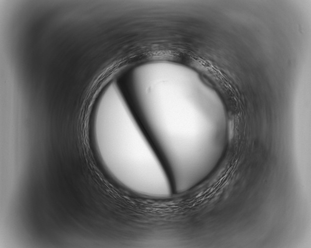 X0000099230243200804241235