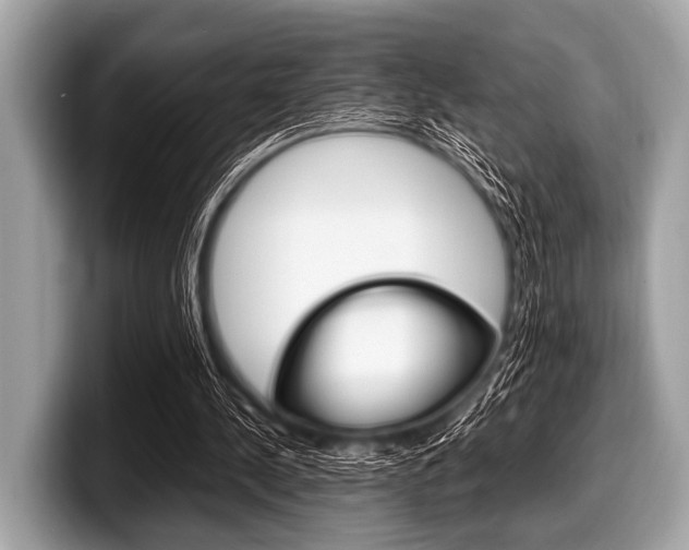 X0000099230244200804241235