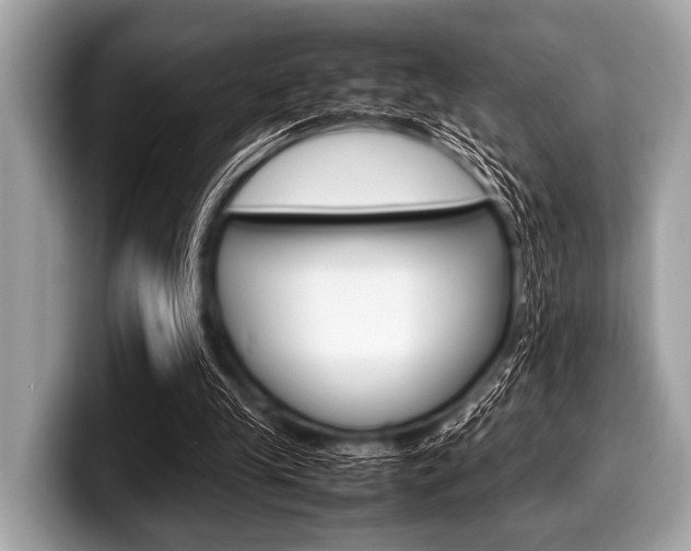 X0000099230245200804241235