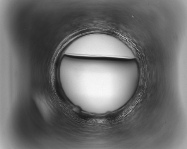 X0000099230247200804241235