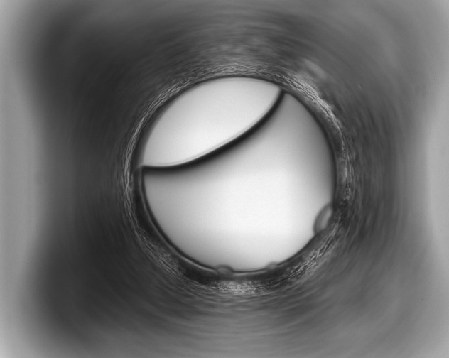 X0000099230250200804241235