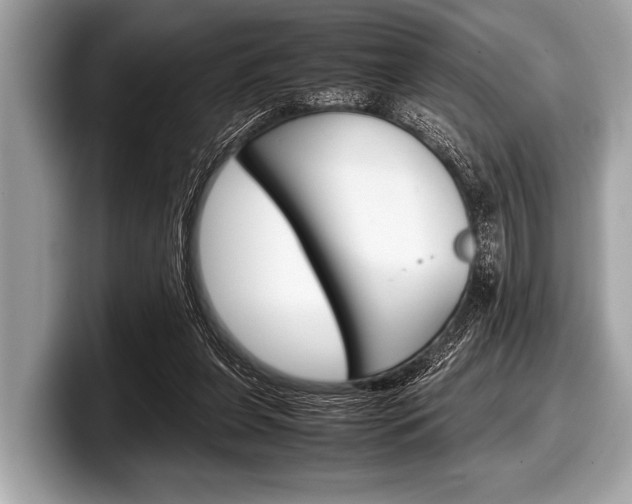 X0000099230255200804241235