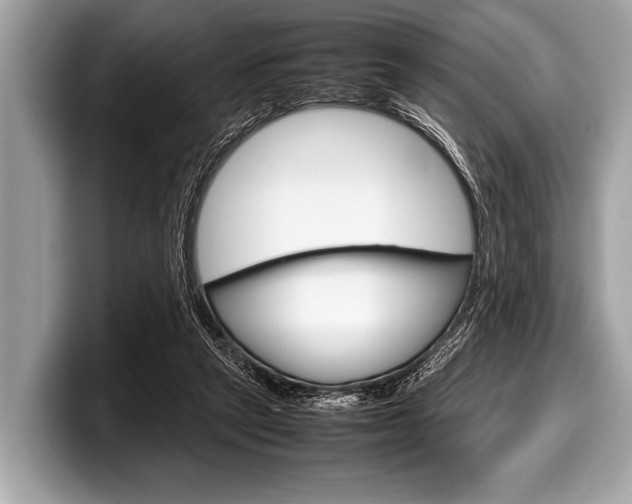 X0000099230257200804241235