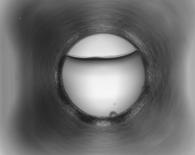 X0000099230258200804241235