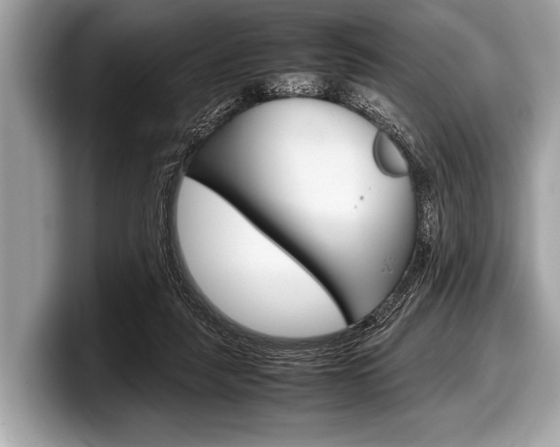 X0000099230259200804241235