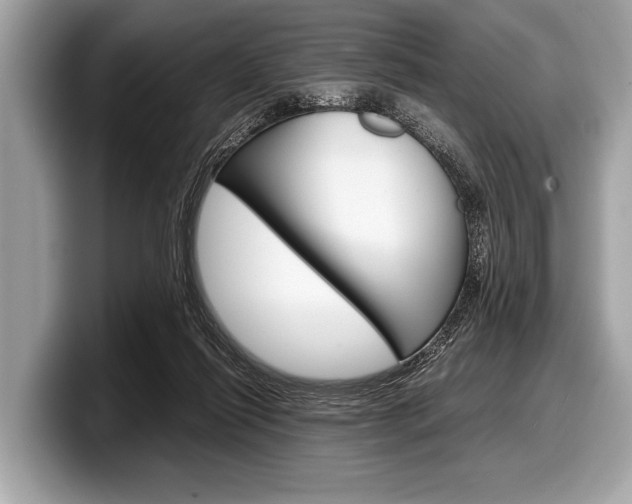 X0000099230262200804241235