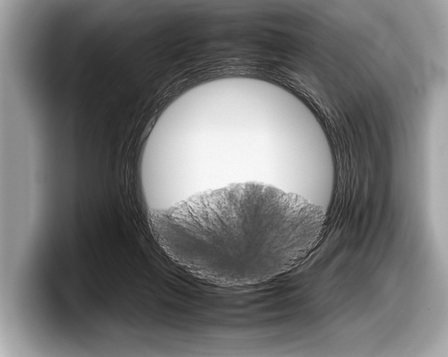 X0000099230263200804241235