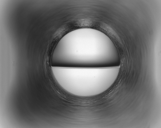 X0000099230264200804241235