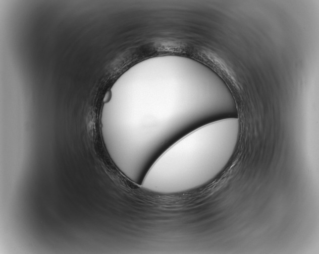 X0000099230265200804241235