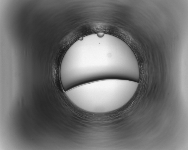 X0000099230266200804241235